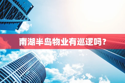 南湖半岛物业有巡逻吗？