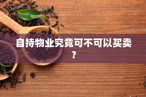 自持物业究竟可不可以买卖？