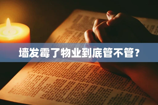 墙发霉了物业到底管不管？