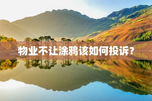 物业不让涂鸦该如何投诉？