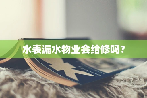 水表漏水物业会给修吗？