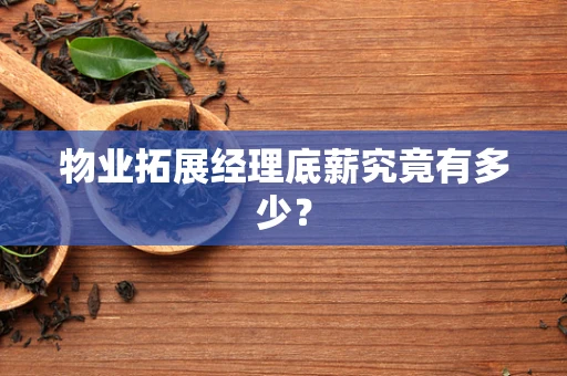 物业拓展经理底薪究竟有多少？