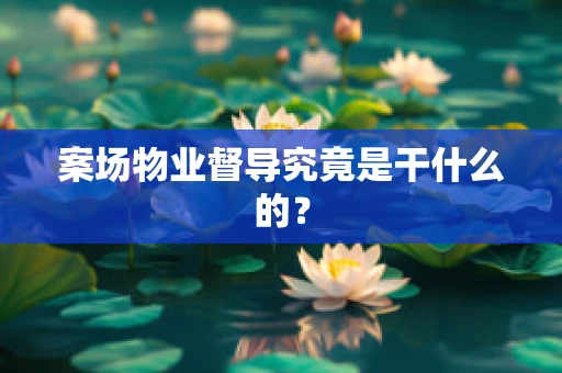 案场物业督导究竟是干什么的？