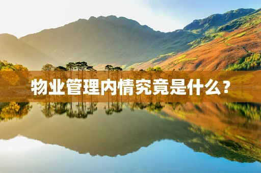 物业管理内情究竟是什么？