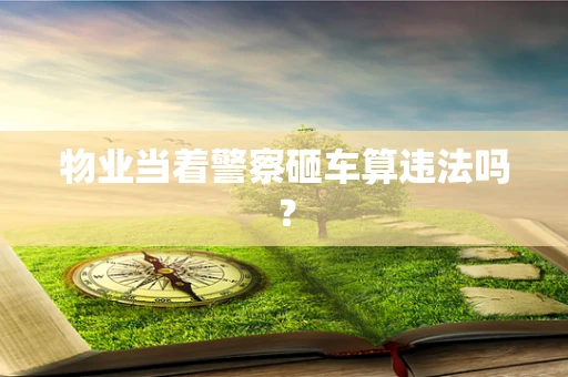 物业当着警察砸车算违法吗？