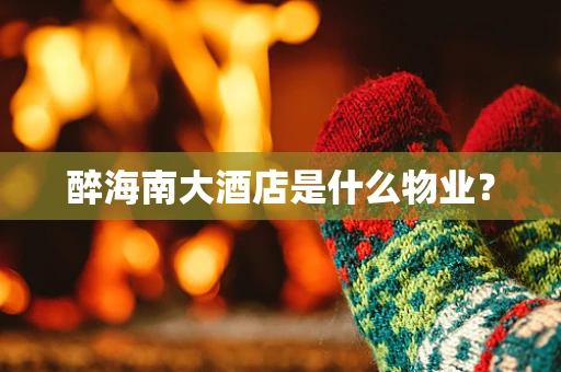 醉海南大酒店是什么物业？