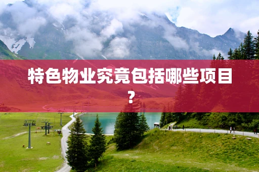 特色物业究竟包括哪些项目？