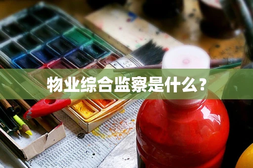 物业综合监察是什么？