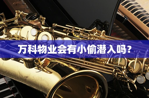万科物业会有小偷潜入吗？