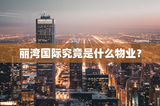 丽湾国际究竟是什么物业？