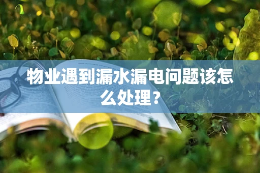 物业遇到漏水漏电问题该怎么处理？