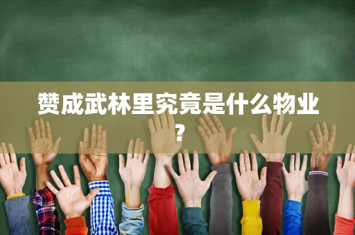 赞成武林里究竟是什么物业？