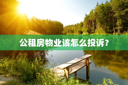 公租房物业该怎么投诉？