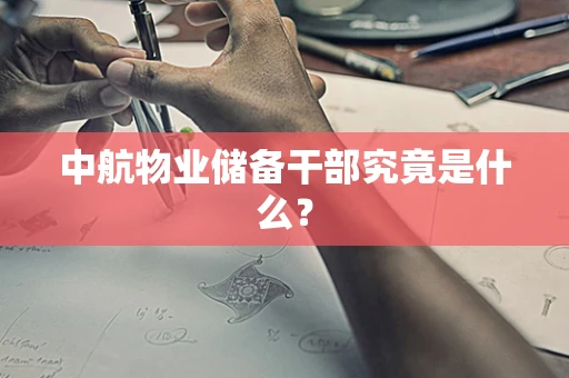 中航物业储备干部究竟是什么？