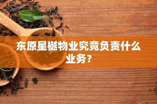 东原星樾物业究竟负责什么业务？