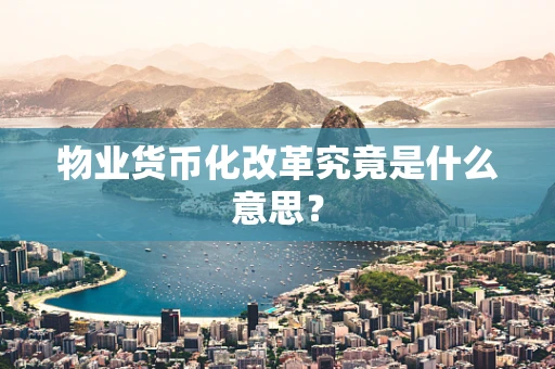 物业货币化改革究竟是什么意思？