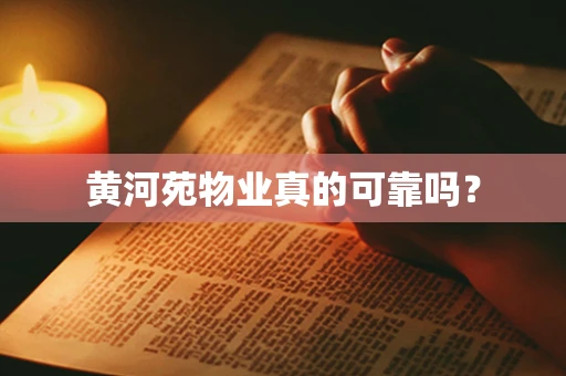 黄河苑物业真的可靠吗？