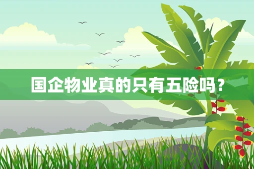 国企物业真的只有五险吗？