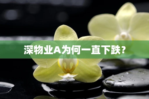 深物业A为何一直下跌？