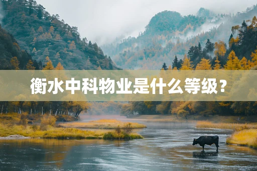 衡水中科物业是什么等级？
