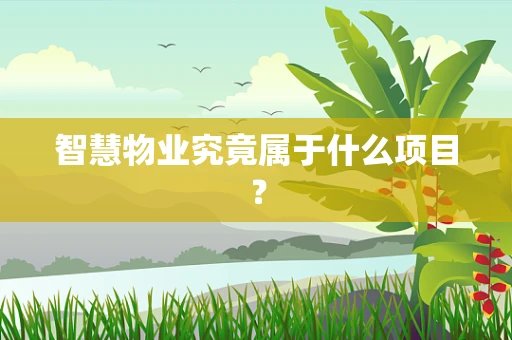 智慧物业究竟属于什么项目？