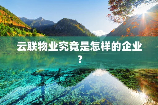 云联物业究竟是怎样的企业？
