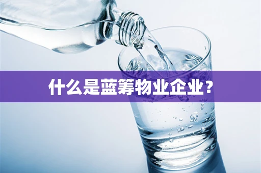 什么是蓝筹物业企业？