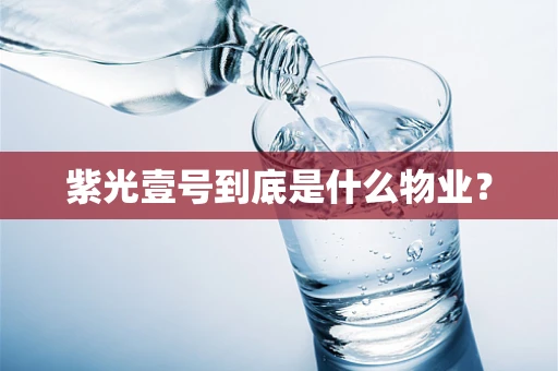 紫光壹号到底是什么物业？