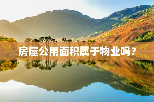 房屋公用面积属于物业吗？