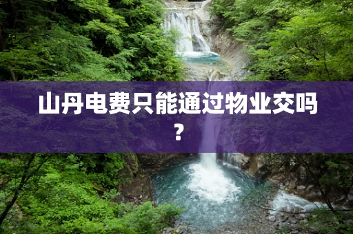 山丹电费只能通过物业交吗？