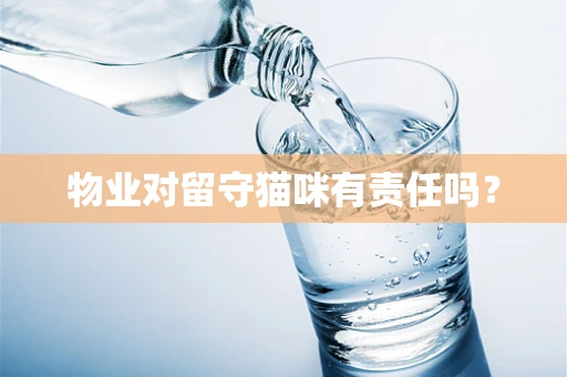 物业对留守猫咪有责任吗？
