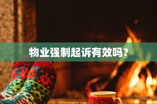 物业强制起诉有效吗？
