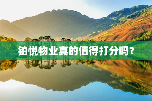 铂悦物业真的值得打分吗？