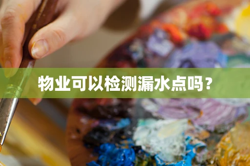 物业可以检测漏水点吗？
