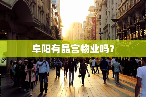阜阳有晶宫物业吗？