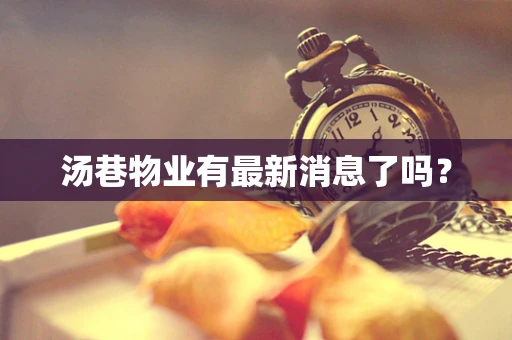 汤巷物业有最新消息了吗？