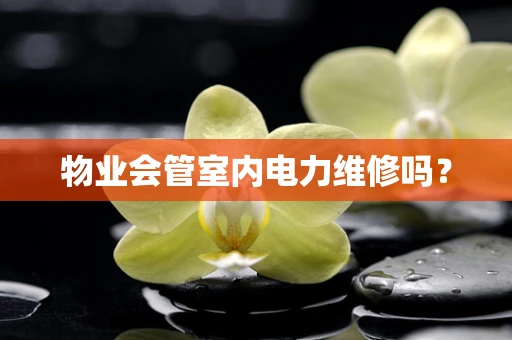 物业会管室内电力维修吗？