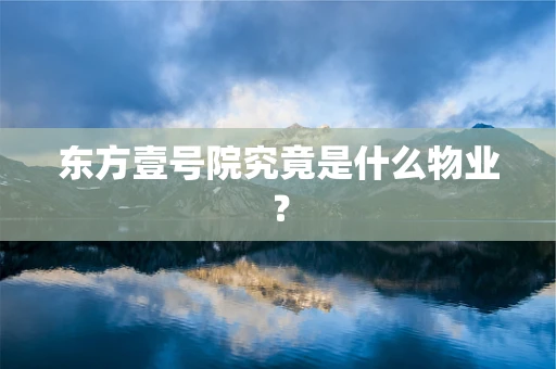 东方壹号院究竟是什么物业？