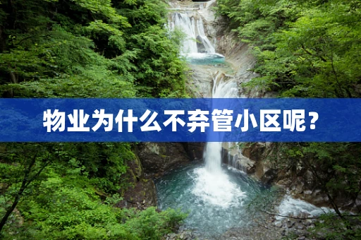 物业为什么不弃管小区呢？