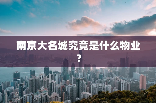 南京大名城究竟是什么物业？
