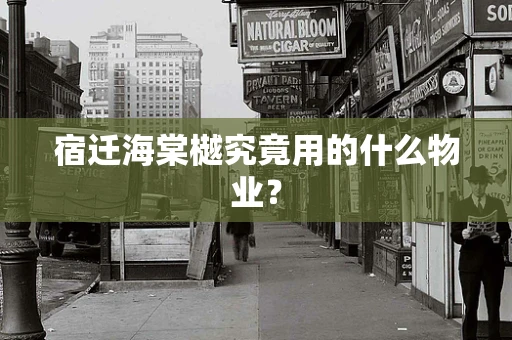 宿迁海棠樾究竟用的什么物业？