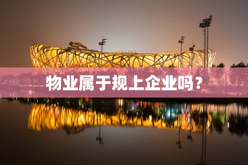 物业属于规上企业吗？