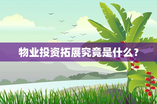 物业投资拓展究竟是什么？