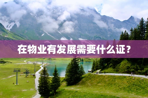 在物业有发展需要什么证？