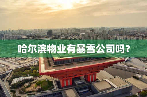 哈尔滨物业有暴雪公司吗？