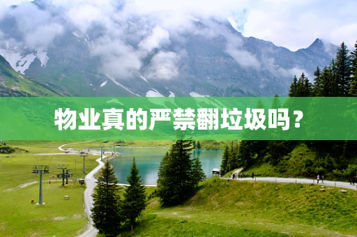 物业真的严禁翻垃圾吗？