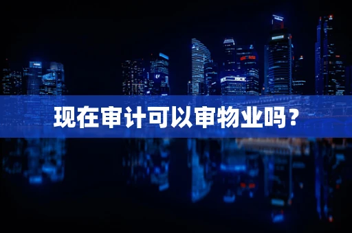 现在审计可以审物业吗？