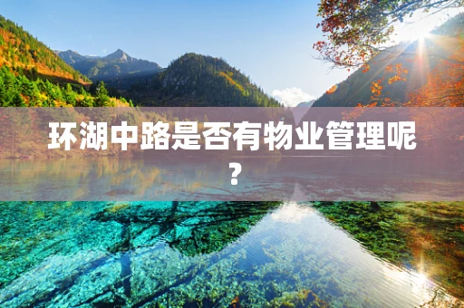环湖中路是否有物业管理呢？