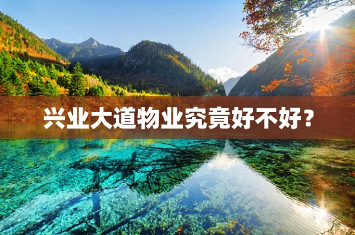 兴业大道物业究竟好不好？