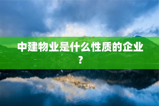 中建物业是什么性质的企业？